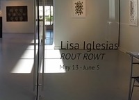 LISA > VIDEO DOCUMENTATION